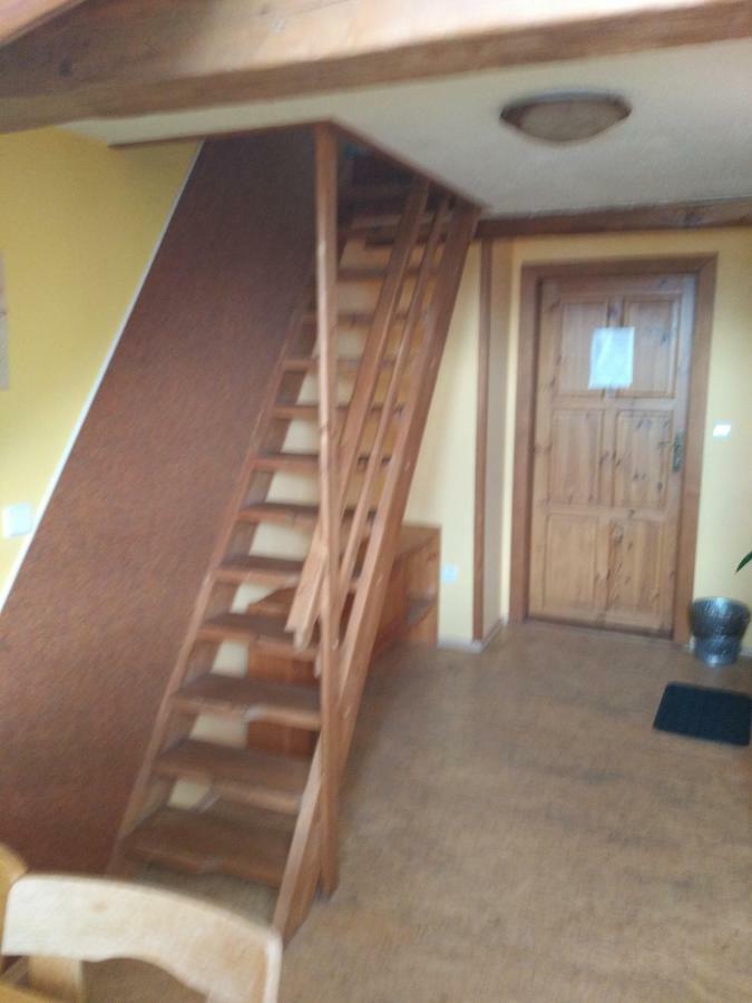 Penzion Crazy Vysoké nad Jizerou Buitenkant foto